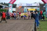 Deurne111211040215_small.jpg (3857 Byte)