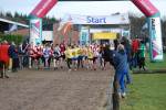 Deurne111211040216_small.jpg (3932 Byte)