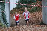 Deurne111211040270_small.jpg (3946 Byte)