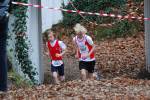 Deurne111211040271_small.jpg (3857 Byte)