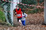 Deurne111211040279_small.jpg (3857 Byte)