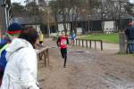 Deurne111211050264_small.jpg (3932 Byte)