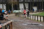 Deurne111211050315_small.jpg (3857 Byte)