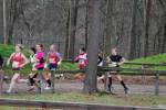 Deurne111211060091_small.jpg (3857 Byte)