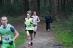 Deurne111211060116_small.jpg (3932 Byte)