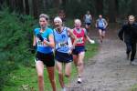 Deurne111211060148_small.jpg (3932 Byte)