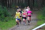 Deurne111211060180_small.jpg (3932 Byte)