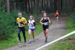 Deurne111211060196_small.jpg (3932 Byte)