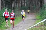 Deurne111211060206_small.jpg (3946 Byte)