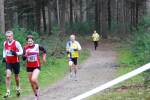 Deurne111211060207_small.jpg (3857 Byte)