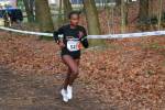 Deurne111211060310_small.jpg (3946 Byte)