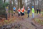 Oirschot111226010061_small.jpg (3698 Byte)