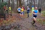 Oirschot111226010064_small.jpg (3932 Byte)