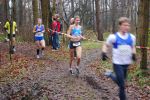 Oirschot111226010072_small.jpg (3932 Byte)