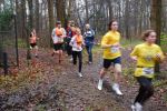 Oirschot111226010080_small.jpg (3932 Byte)