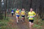 Oirschot111226010138_small.jpg (3946 Byte)