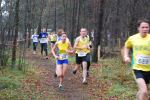 Oirschot111226010139_small.jpg (3857 Byte)