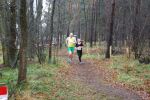 Oirschot111226010174_small.jpg (3946 Byte)