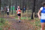 Oirschot111226010186_small.jpg (3946 Byte)