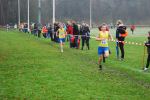 Oirschot111226020102_small.jpg (3946 Byte)