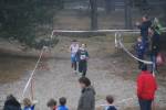 Soest111231010121_small.jpg (3698 Byte)