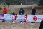 Soest111231050176_small.jpg (3932 Byte)